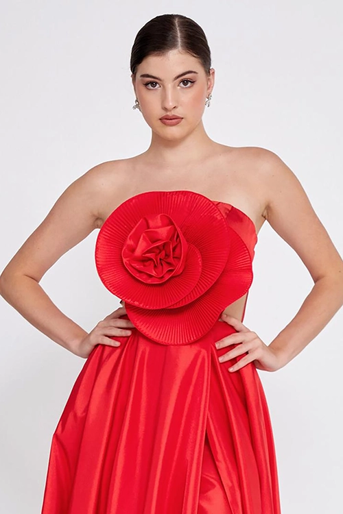 Rouge5